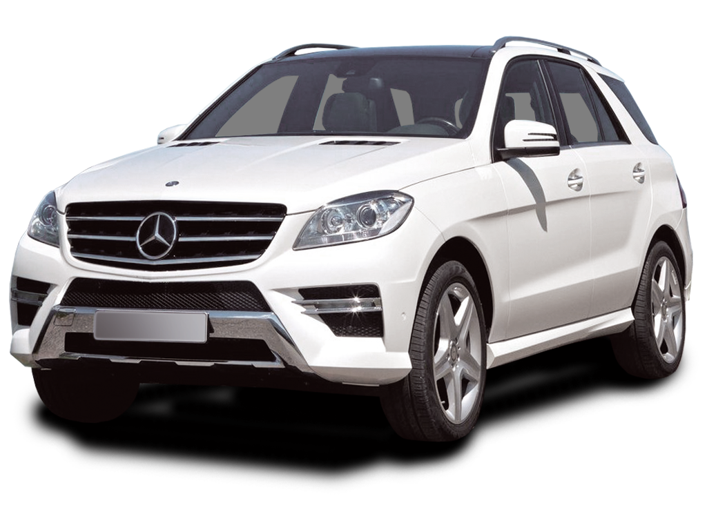 Rental & Leasing